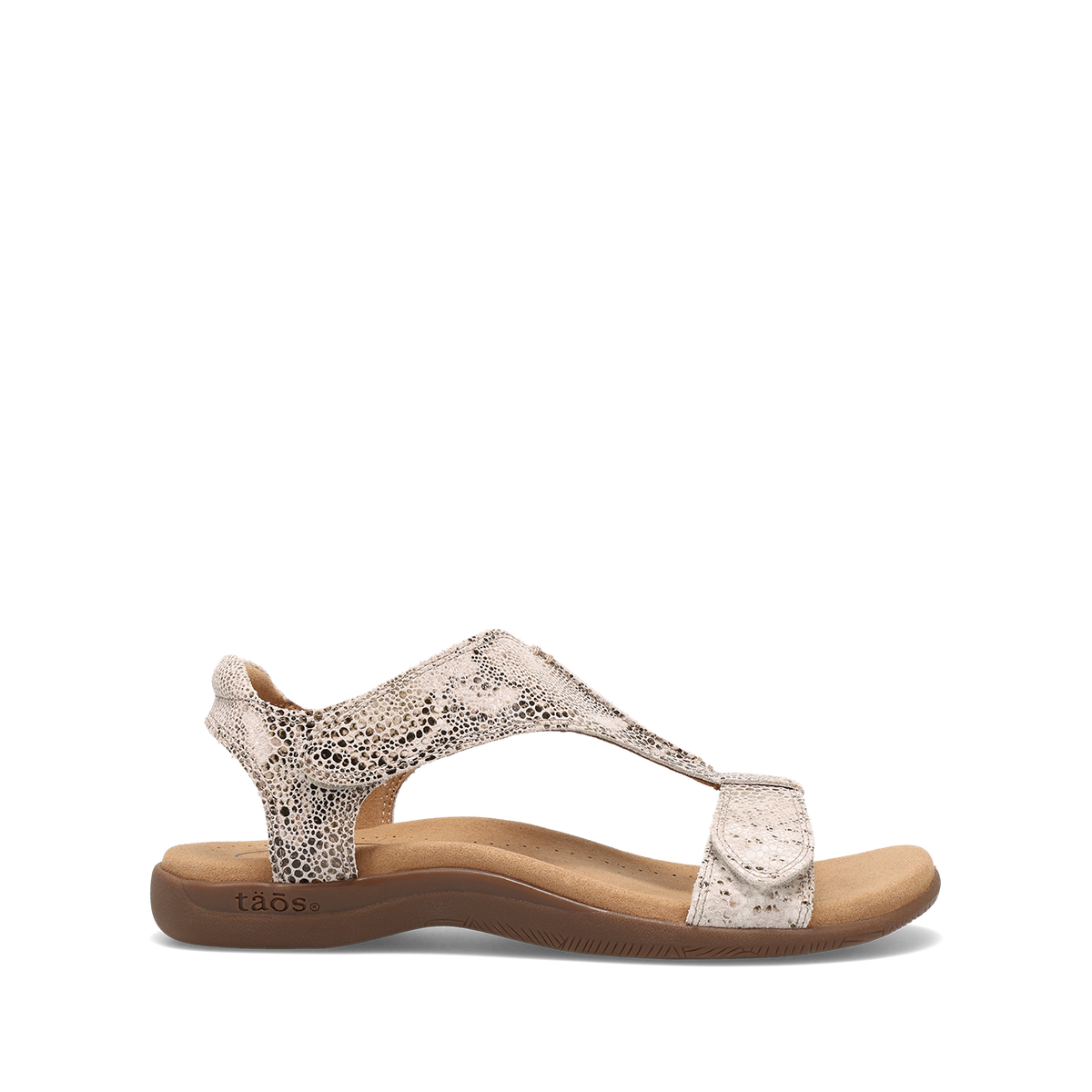 Brown Snake,5