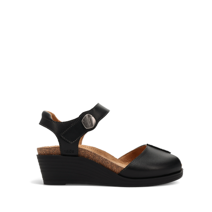 Black,6